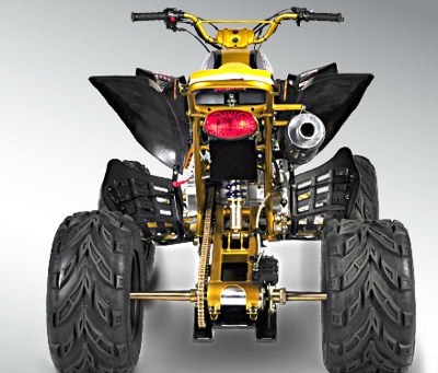 quads-pitbull-200-04