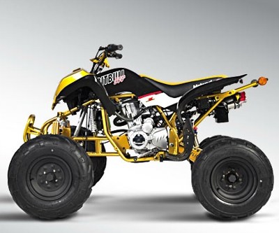 quads-pitbull-200-05